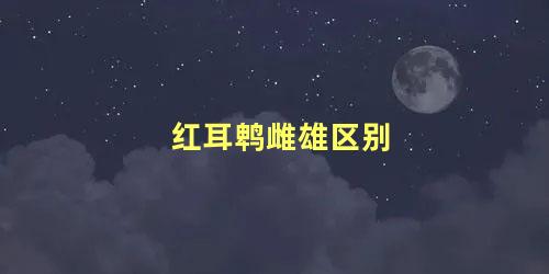 红耳鹎雌雄区别