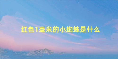 红色1毫米的小蜘蛛是什么