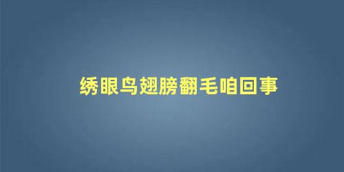 绣眼鸟翅膀翻毛咱回事