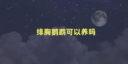 绯胸鹦鹉可以养吗