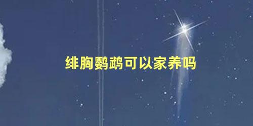 绯胸鹦鹉可以家养吗
