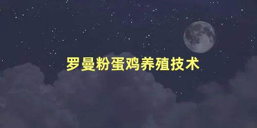 罗曼粉蛋鸡养殖技术