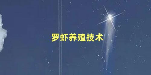 罗虾养殖技术