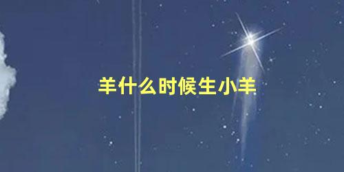 羊什么时候生小羊