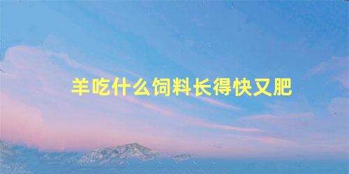 羊吃什么饲料长得快又肥