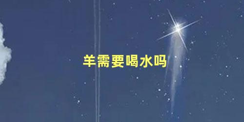 羊需要喝水吗