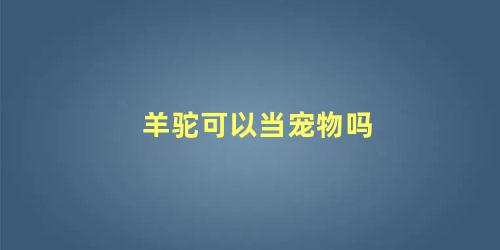羊驼可以当宠物吗