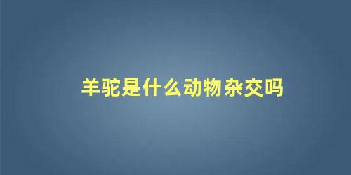 羊驼是什么动物杂交吗