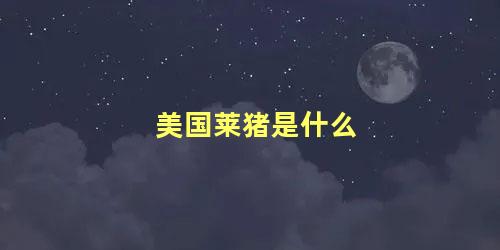 美国莱猪是什么