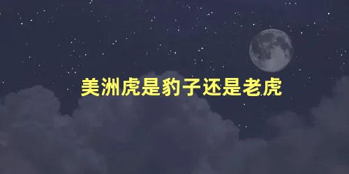 美洲虎是豹子还是老虎
