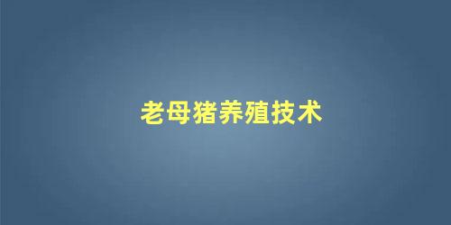 老母猪养殖技术