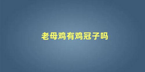 老母鸡有鸡冠子吗