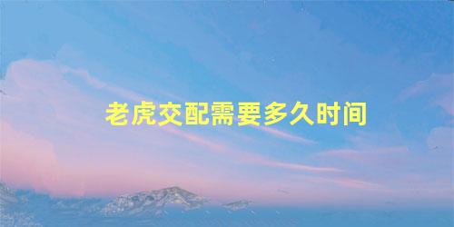 老虎交配需要多久时间