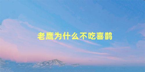 老鹰为什么不吃喜鹊