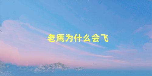 老鹰为什么会飞