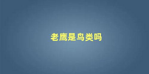 老鹰是鸟类吗