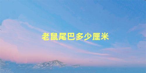 老鼠尾巴多少厘米