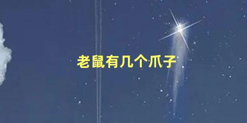 老鼠有几个爪子
