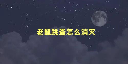 老鼠跳蚤怎么消灭