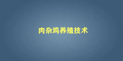 肉杂鸡养殖技术