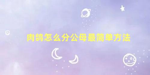 肉鸽怎么分公母最简单方法