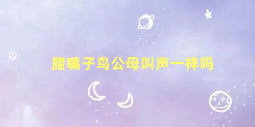 腊嘴子鸟公母叫声一样吗