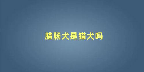 腊肠犬是猎犬吗