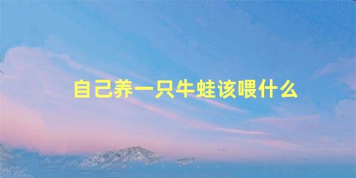 自己养一只牛蛙该喂什么