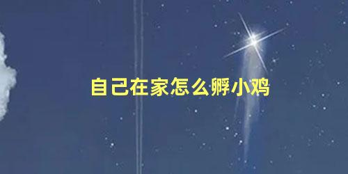 自己在家怎么孵小鸡