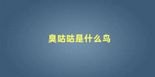 臭咕咕是什么鸟
