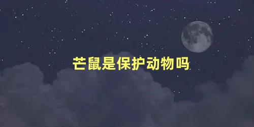 芒鼠是保护动物吗