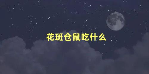 花斑仓鼠吃什么