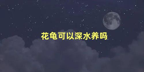 花龟可以深水养吗