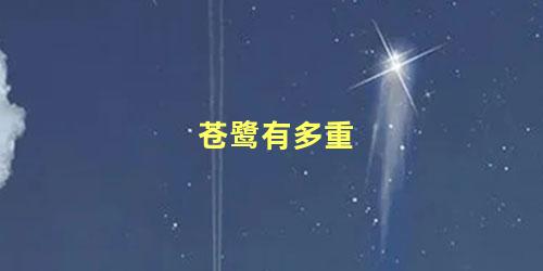 苍鹭有多重