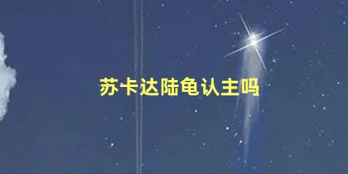 苏卡达陆龟认主吗