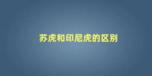 苏虎和印尼虎的区别