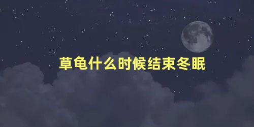草龟什么时候结束冬眠
