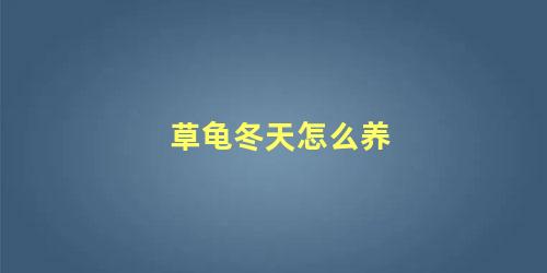 草龟冬天怎么养