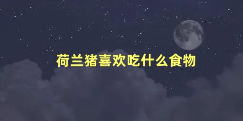 荷兰猪喜欢吃什么食物
