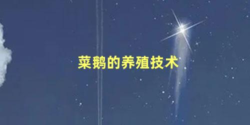 菜鹅的养殖技术