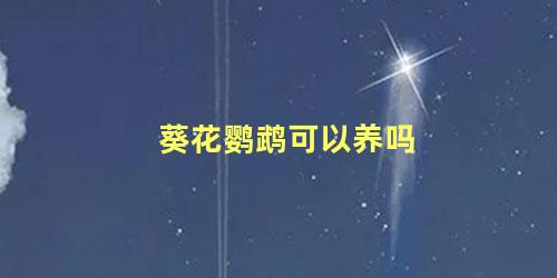 葵花鹦鹉可以养吗