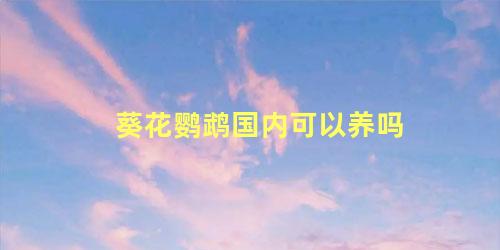 葵花鹦鹉国内可以养吗