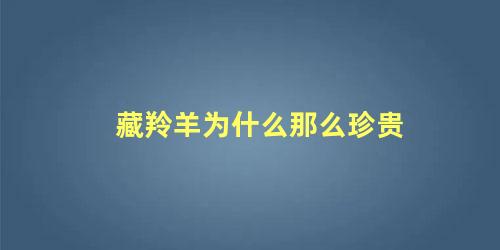 藏羚羊为什么那么珍贵