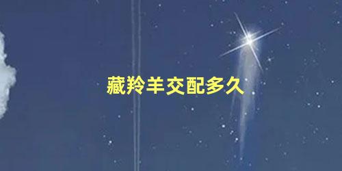 藏羚羊交配多久