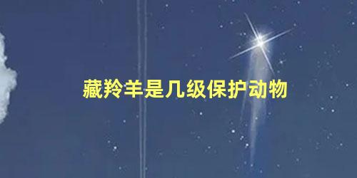 藏羚羊是几级保护动物