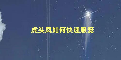 虎头凤如何快速服笼