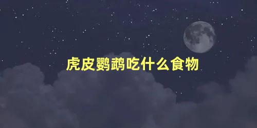 虎皮鹦鹉吃什么食物