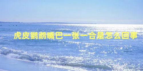 虎皮鹦鹉嘴巴一张一合是怎么回事
