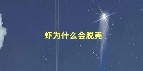 虾为什么会脱壳