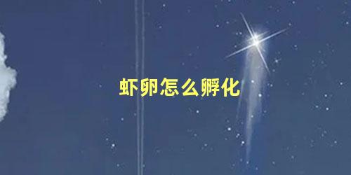 虾卵怎么孵化